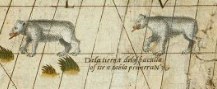 MAPPEMONDE DE SEBASTIEN CABOT, 1544 — détail 3