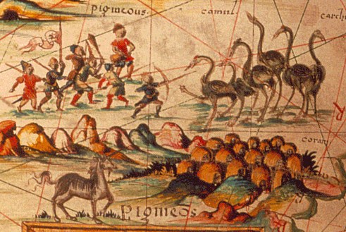 MAPPEMONDE DE PIERRE DESCELIERS, 1550 — détail 6